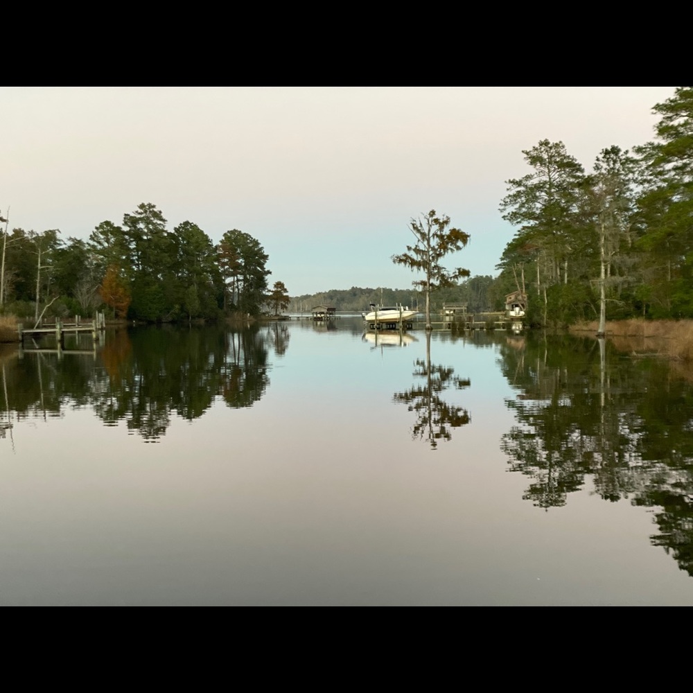 Meet your Posher, Suzanne